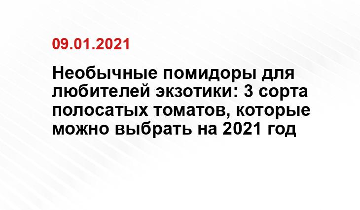 2sotki.ru, dachnoedelo.ru