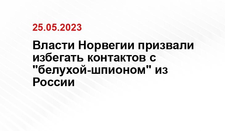 Власти Норвегии призвали избегать контактов с "белухой-шпионом" из России